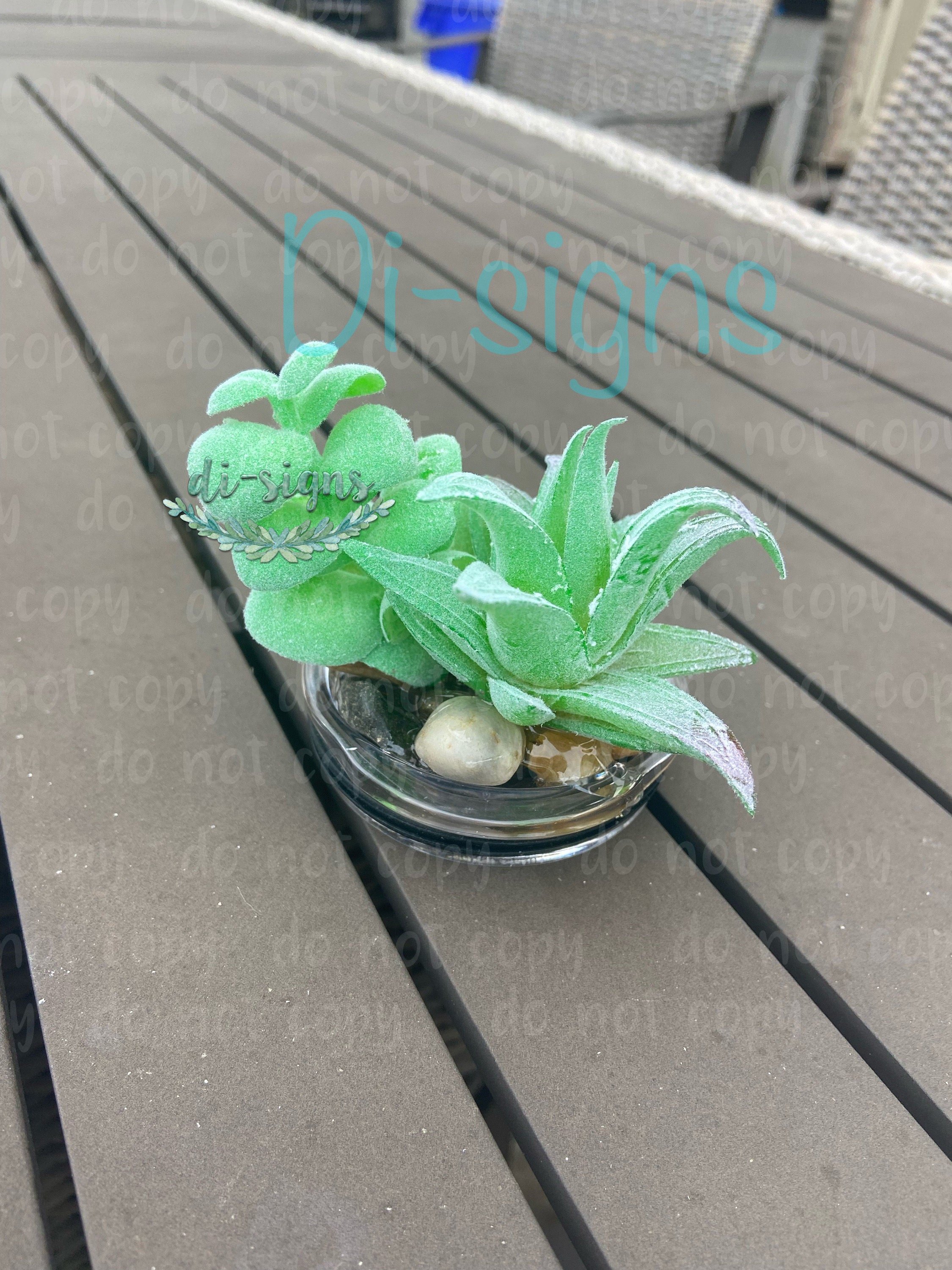 https://i.etsystatic.com/6342077/r/il/965035/3974083967/il_fullxfull.3974083967_haco.jpg