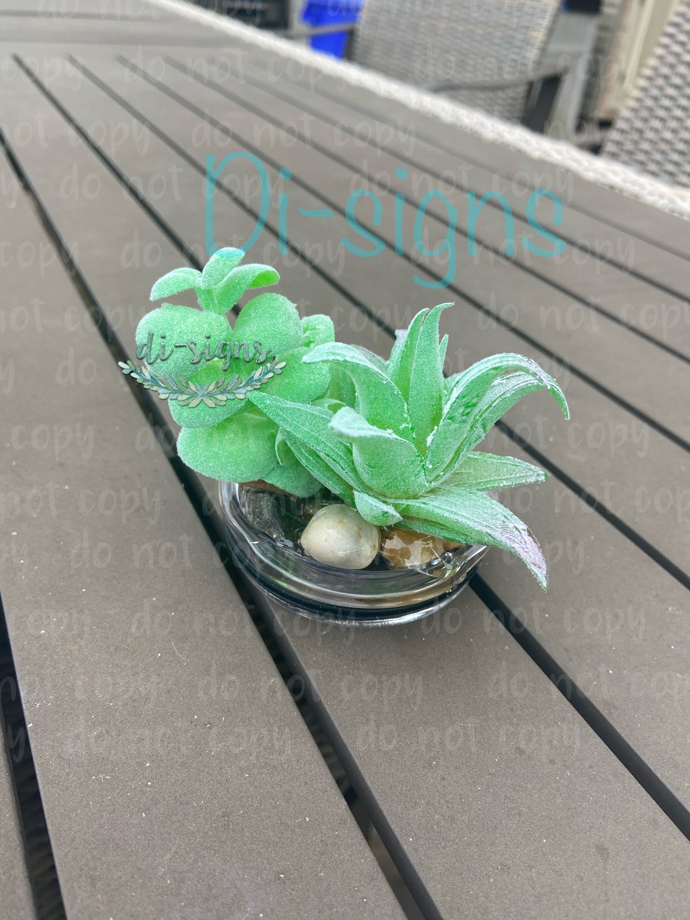 https://i.etsystatic.com/6342077/r/il/965035/3974083967/il_fullxfull.3974083967_haco.jpg