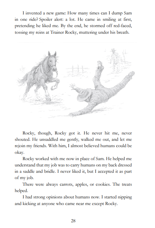page 29.png