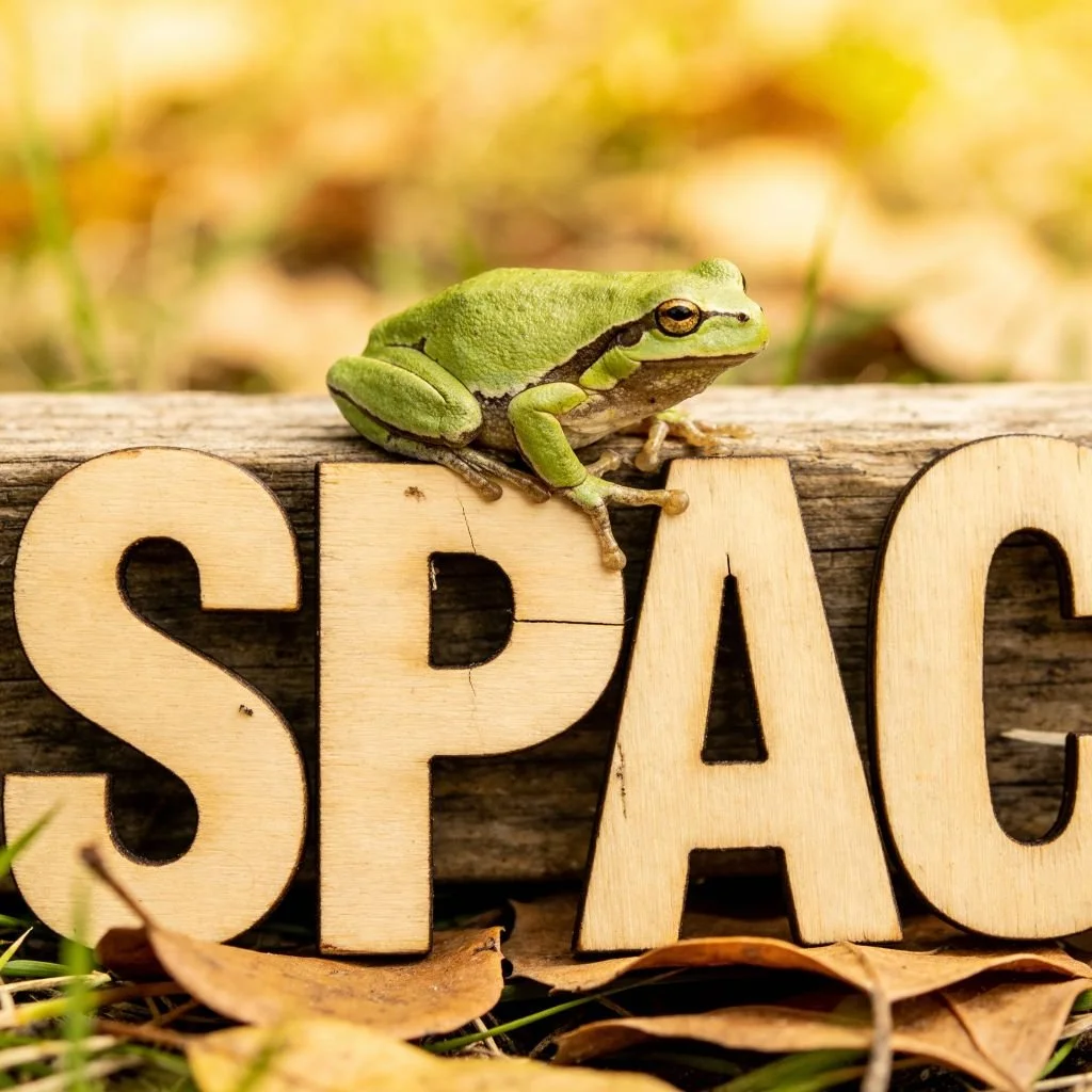 Leapfrog Acquisition Corp.