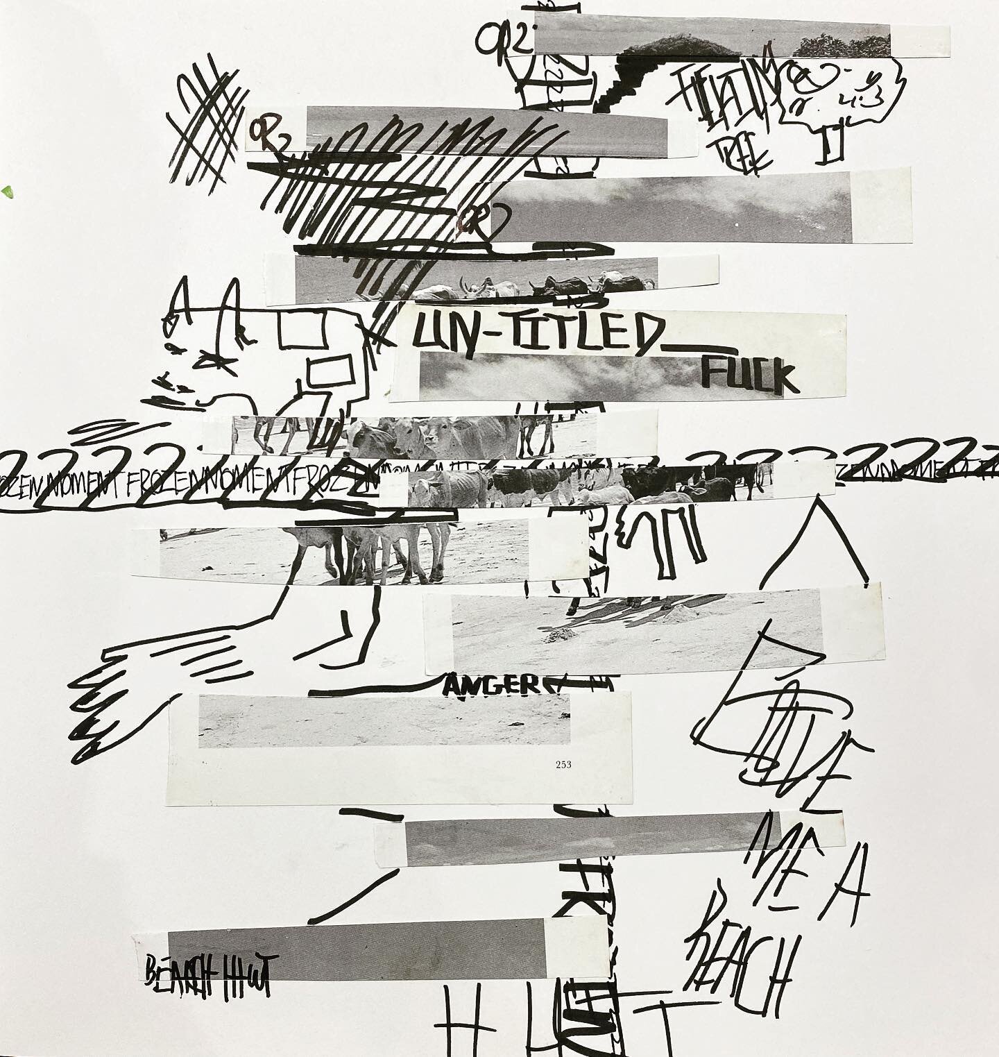 Untitled. What can I say. Anger, fuck, beach hut #art #aup #aupplymouth #plymouth #cow