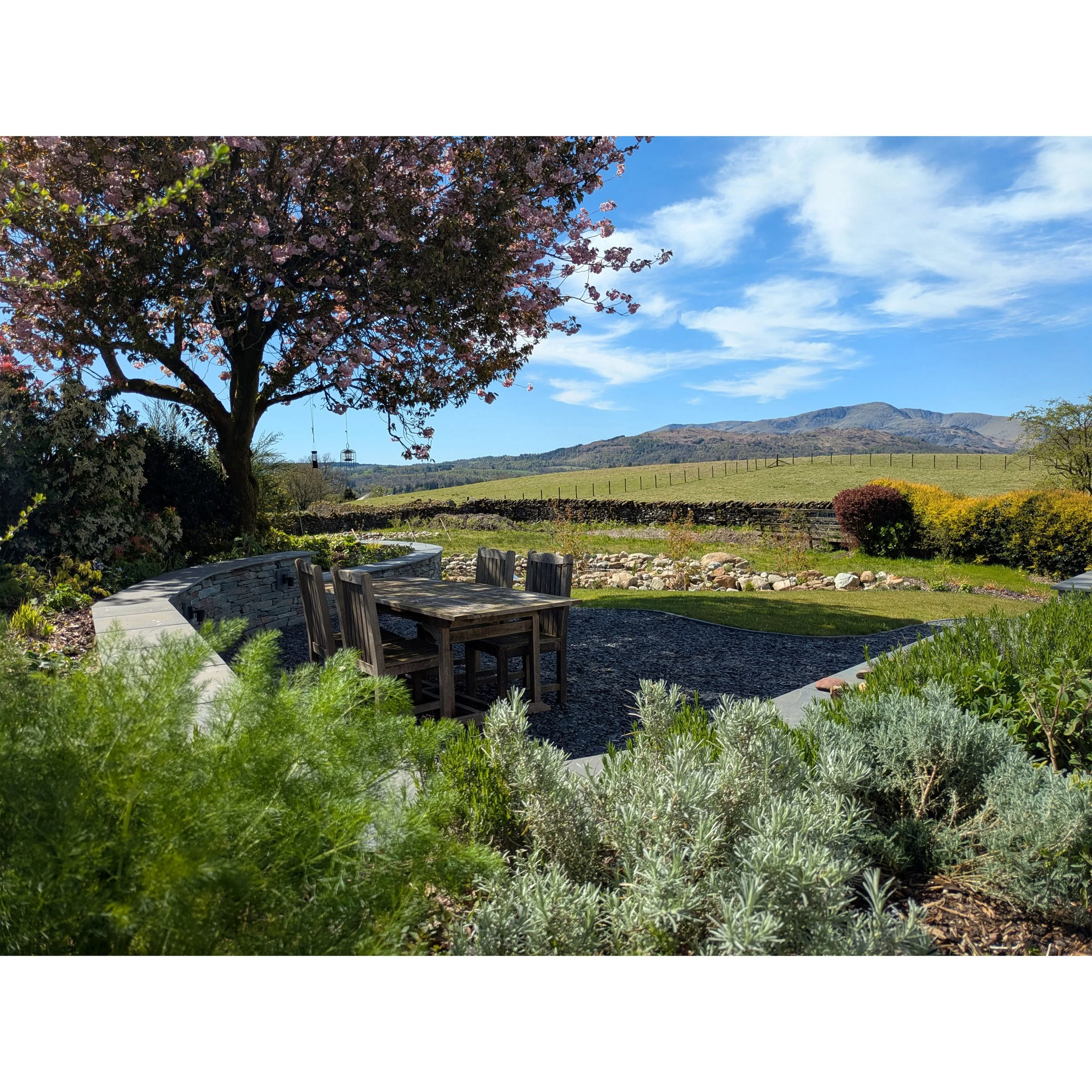 A back garden with a flowering cherry tree, herbaceous planting in the foreground with views of the garden and Lakeland fells in the distance