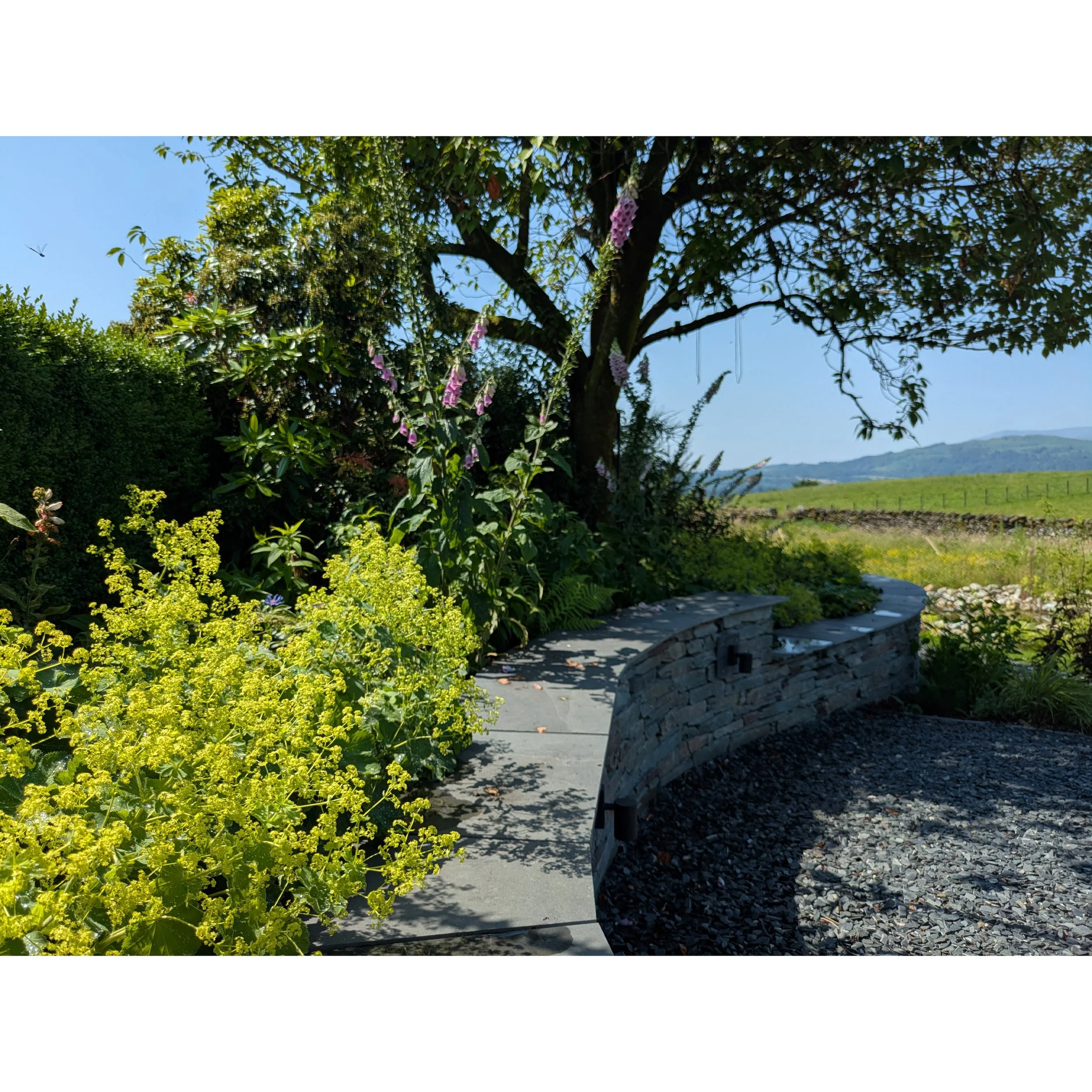 A curved, stale garden wall, surrounded by plants and a gravel pathway, with a beautiful cherry tree and a mountain landscape in the background under a blue sky.