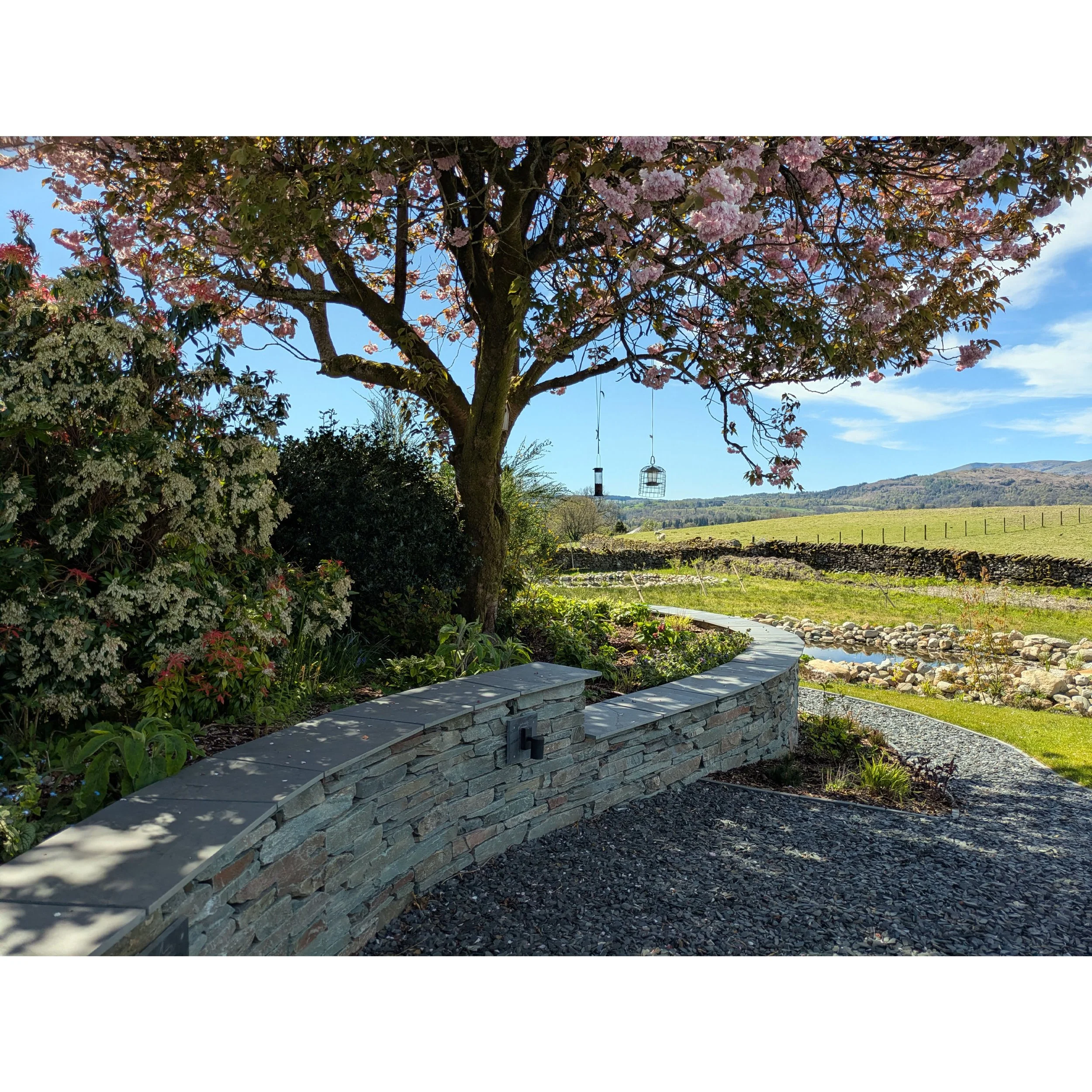 A curved, stale garden wall, surrounded by plants and a gravel pathway, with a beautiful cherry tree blooming pink flowers and a mountain landscape in the background under a blue sky.