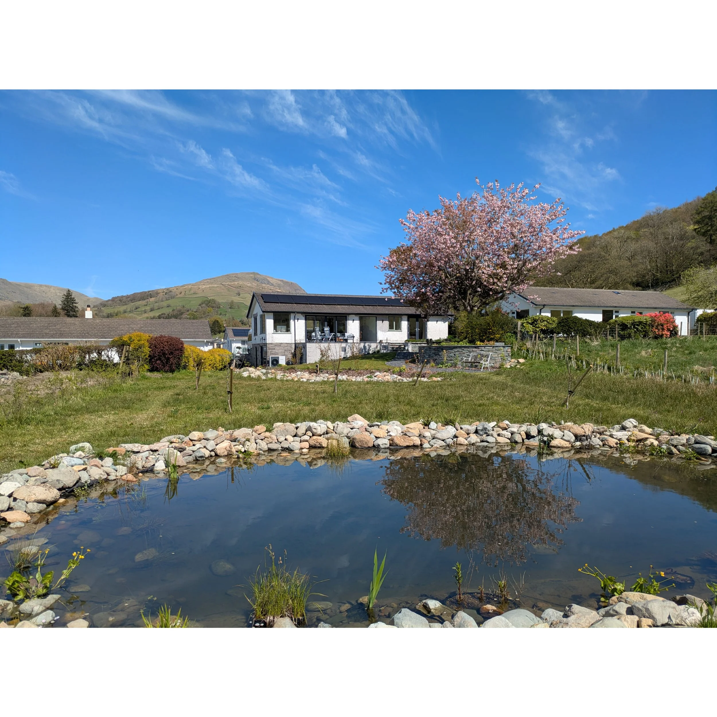 A scenic view of a house nestled in the garden, a blooming cherry blossom tree, a small pond, and rolling hills under a blue sky with wispy clouds.
