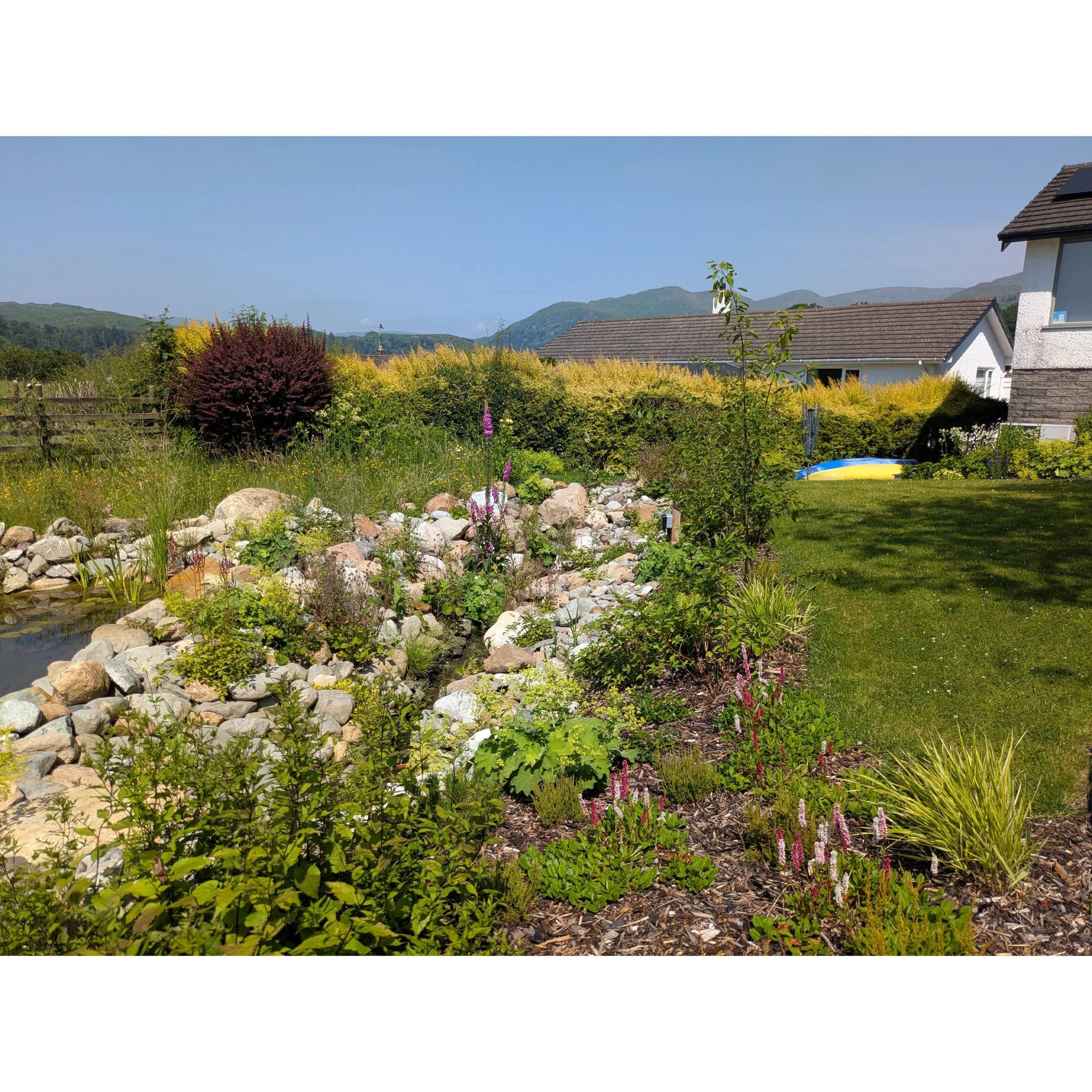 View of a cobbled stream with flowering vegetation and an adjacent wildlife pond.