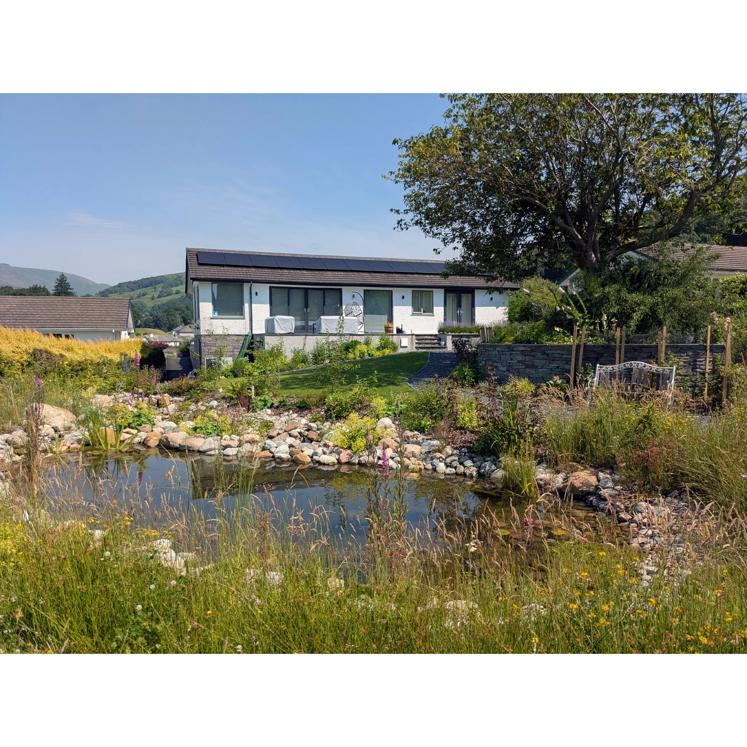 A scenic view of a house near a pond with lush green plants and purple flowers in the foreground, a mature cherry  tree, and hillside covered with trees under a bright blue sky.