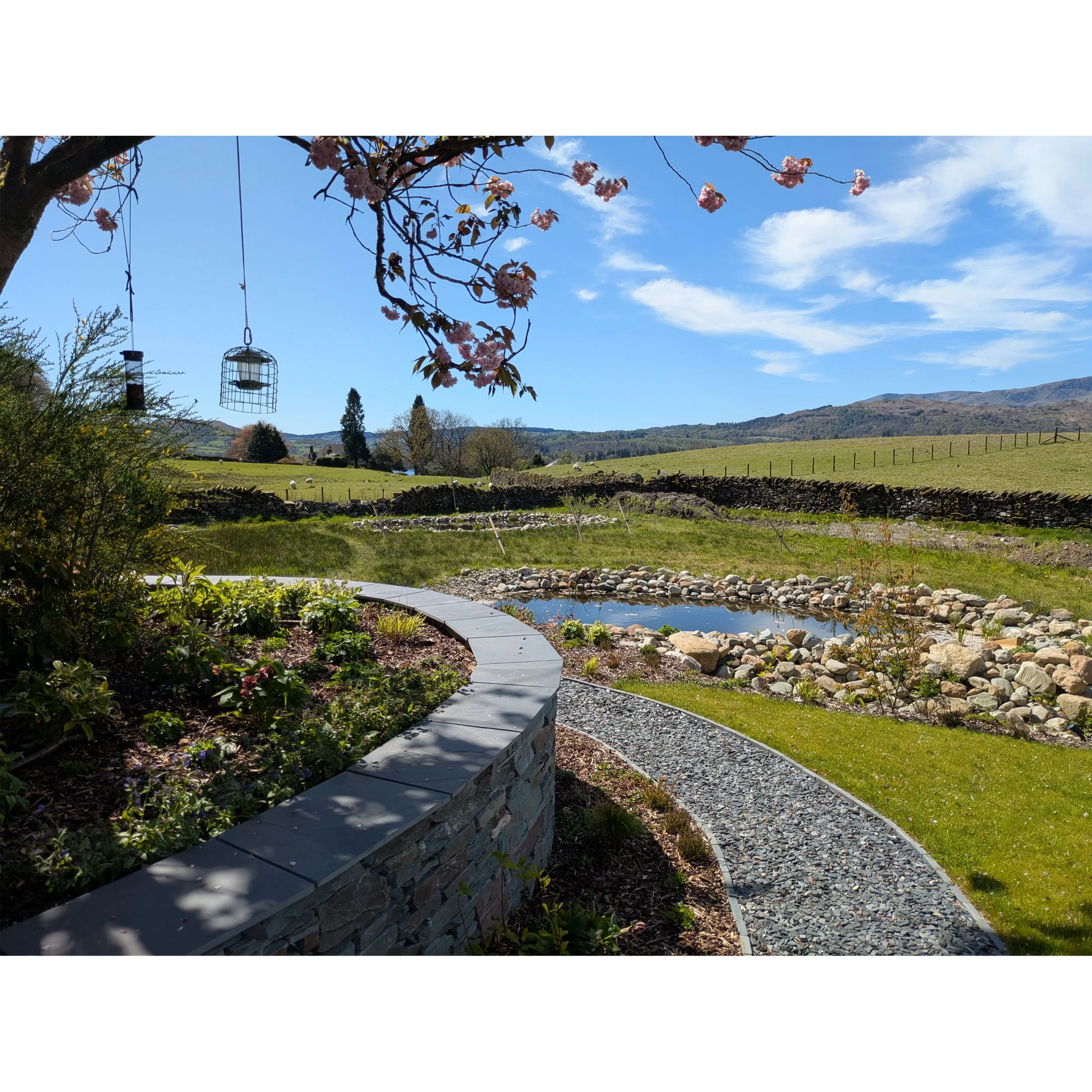 View of a rural, naturalistic garden with a stone pathway, a cobbled wildlife pond, green grass, trees, and a backdrop of hills under a partly cloudy blue sky, with a tree branch with pink blossoms and a bird feeder hanging from it in the foreground.