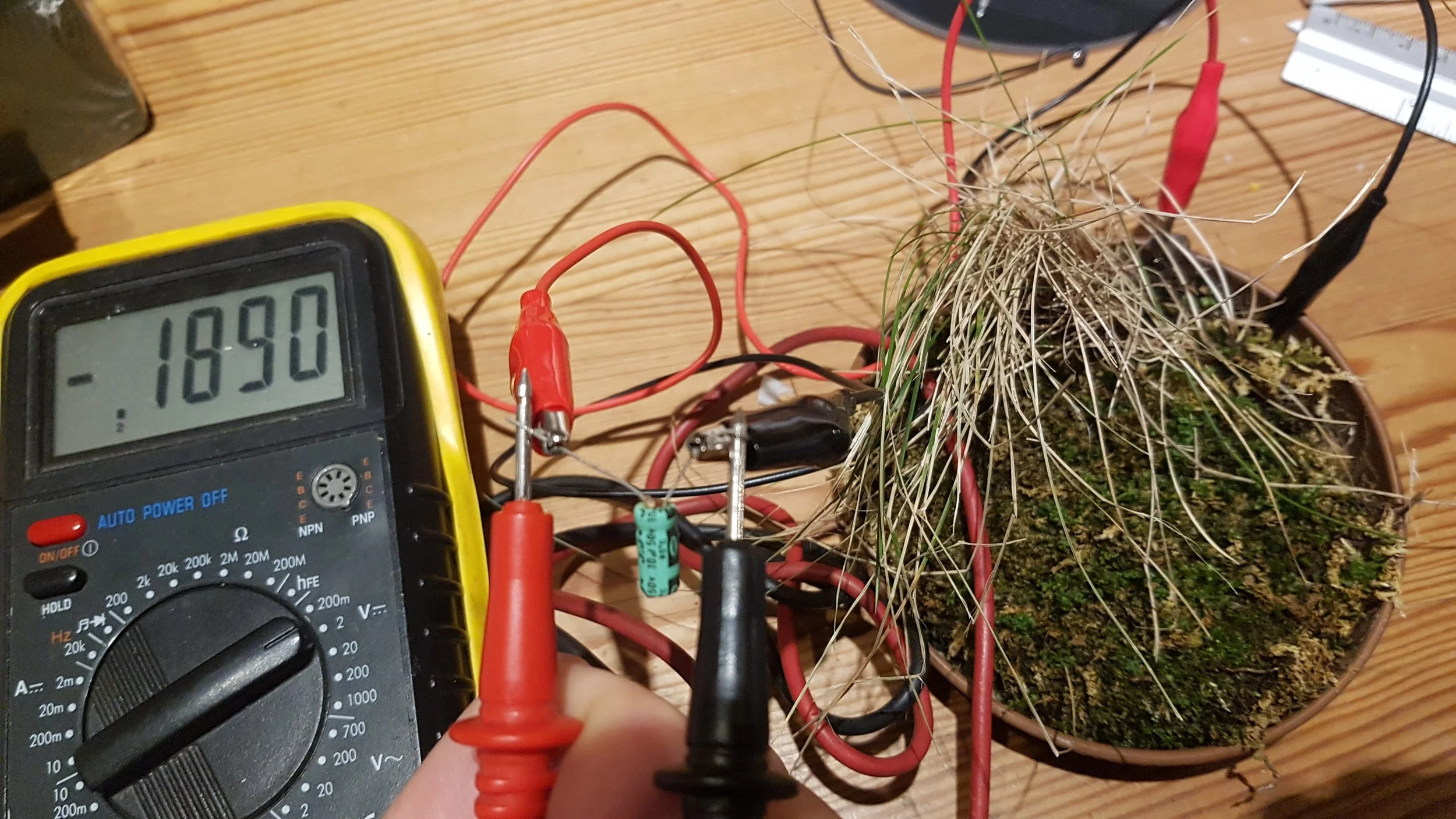 Plant battery voltage reversal???
