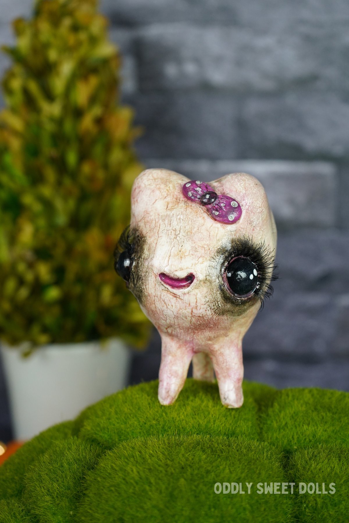 https://i.etsystatic.com/25817642/r/il/1a22a1/4278295495/il_fullxfull.4278295495_qpvq.jpg