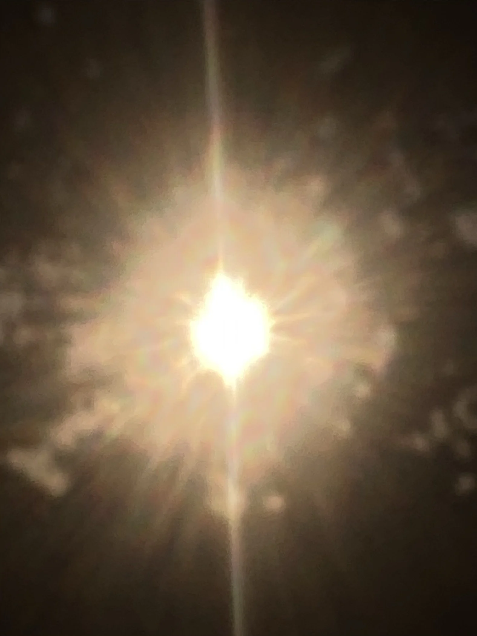 IMG_0314.jpeg