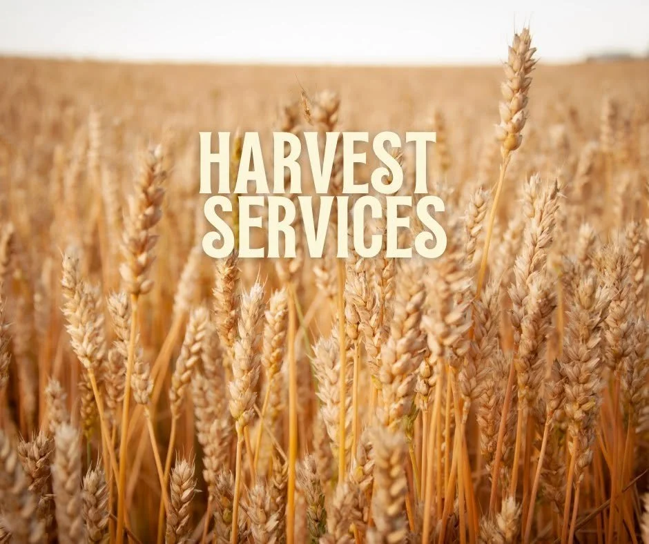 Harvest Celebration 2026
