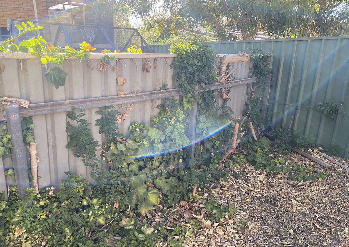 fencing removed and replace
