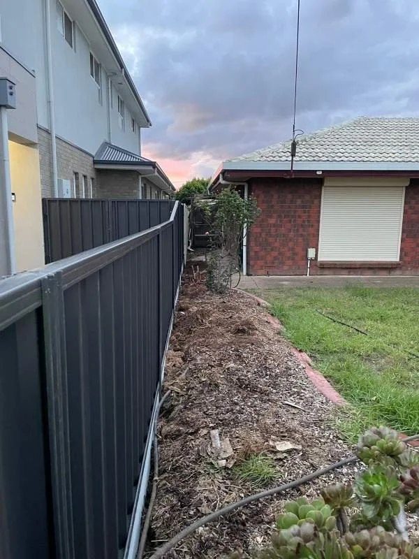 A narrow strip of dirt with some plants along a dark metal fence, with houses in the background and a cloudy sky at sunset.