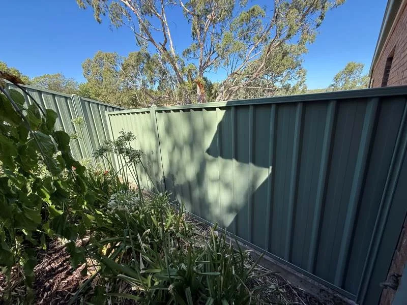 A small backyard garden with green plants along a green metal fence, with trees and blue sky visible in the background.