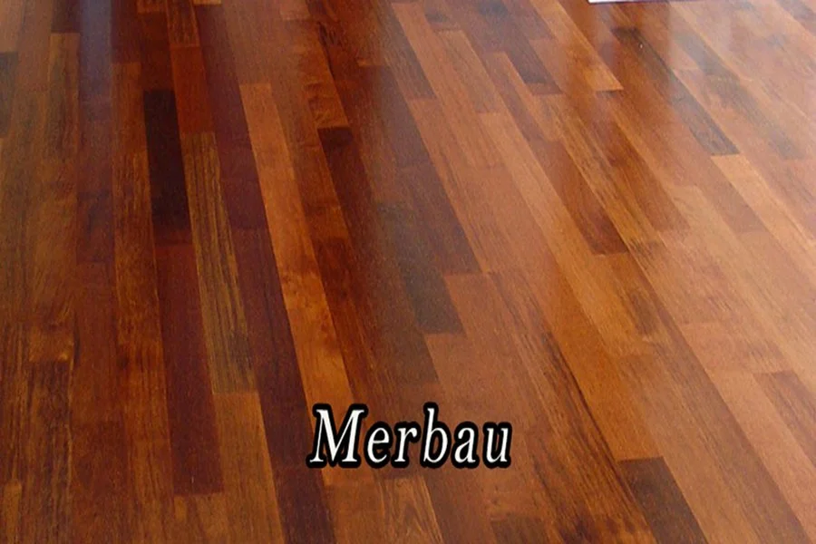 mmerbau-newwww.jpg
