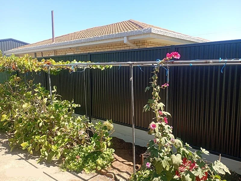 Backyard garden with flowering plants supported by a metal frame, beside a dark-colored fence and a house with a tan brick exterior and tiled roof.