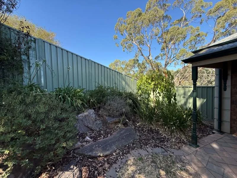 Backyard garden with various plants and large rocks, a green metal fence, and part of a house with a brick patio, under a clear blue sky.