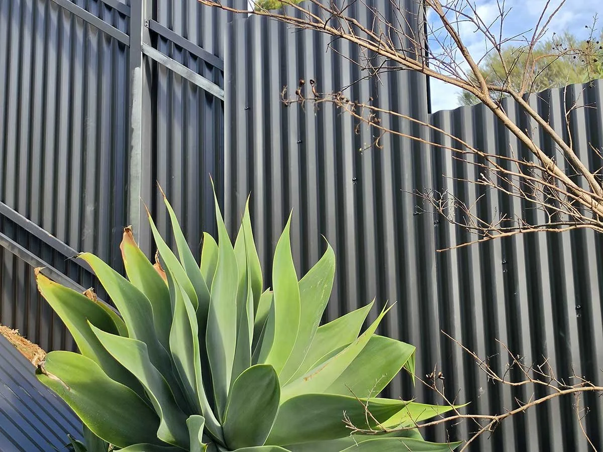 Post +rail twin fence in a very slope land grey color around bushes