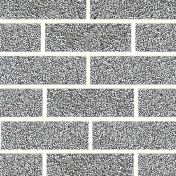 Bricks-for the Future Exposed Ash Eco