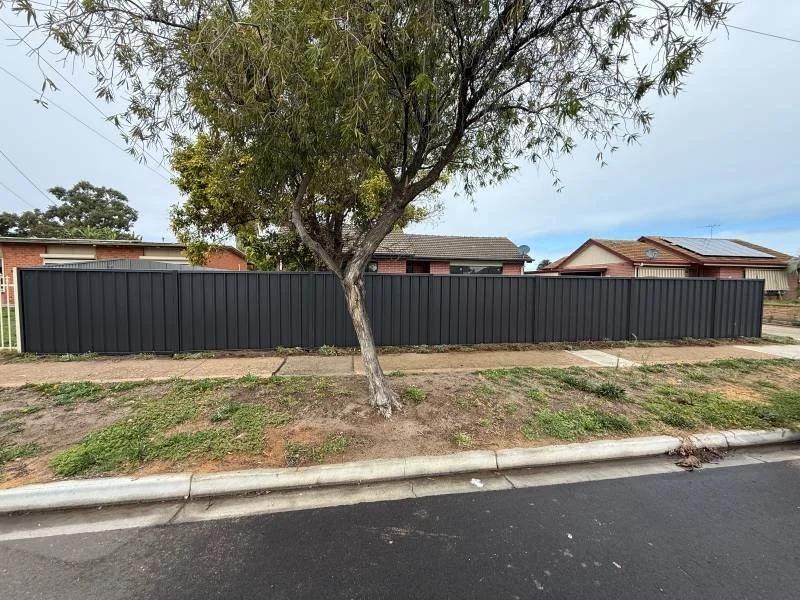A tree in front of a black metal fence, with a sidewalk and street in the foreground, and houses in the background.