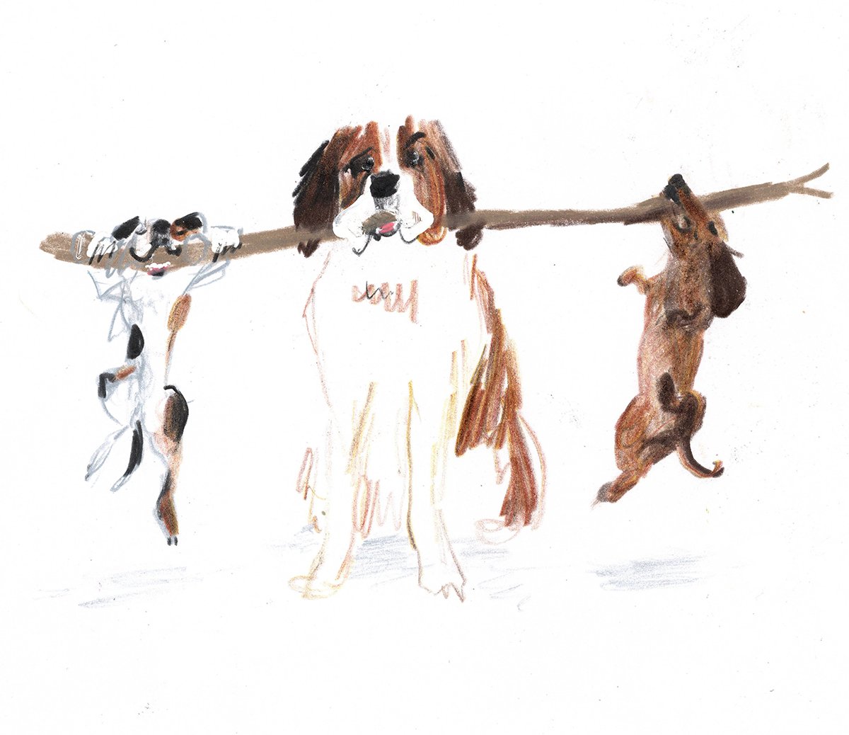 jenny-bloomfield-balancing-act-dogs-illustration.jpg