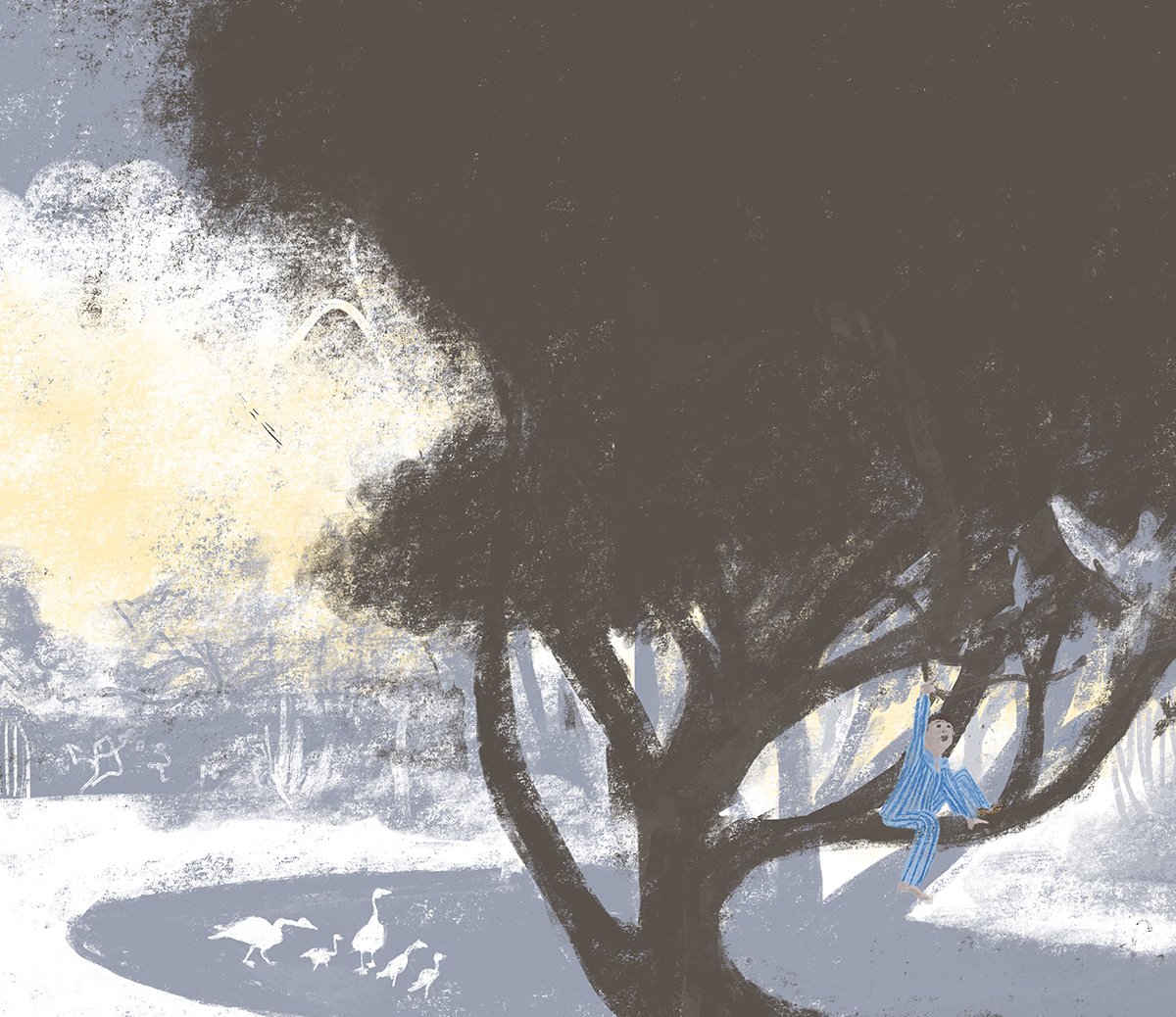 jenny-bloomfield-boy-in-tree-illustration.jpg