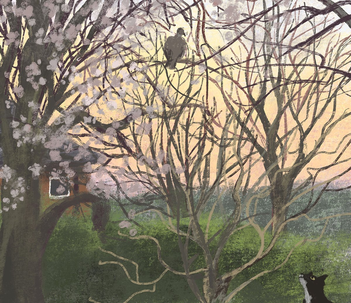 jenny-bloomfield-cat-pigeon-illustration.jpg