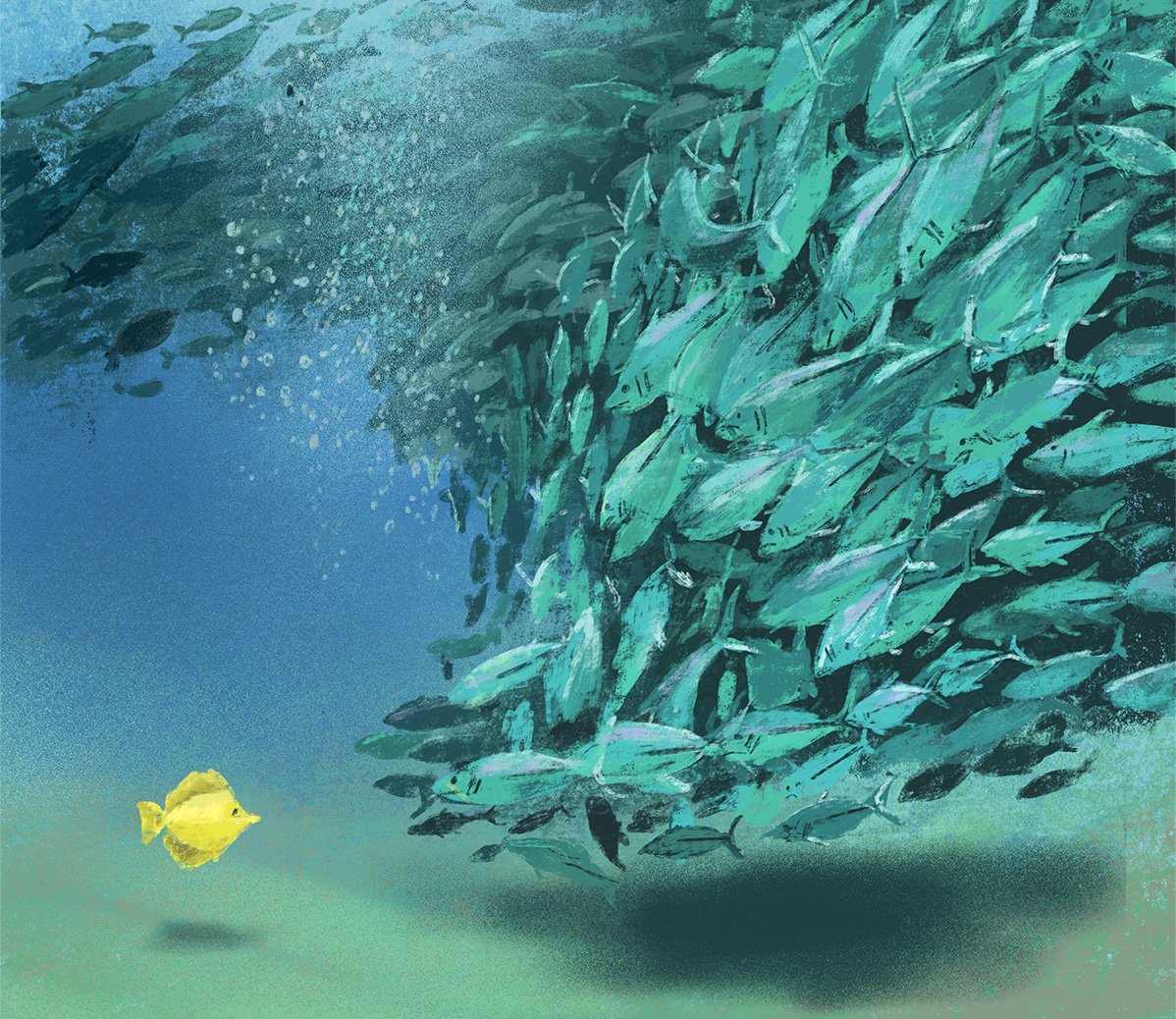 Jenny-Bloomfield-fish-illustration.jpg