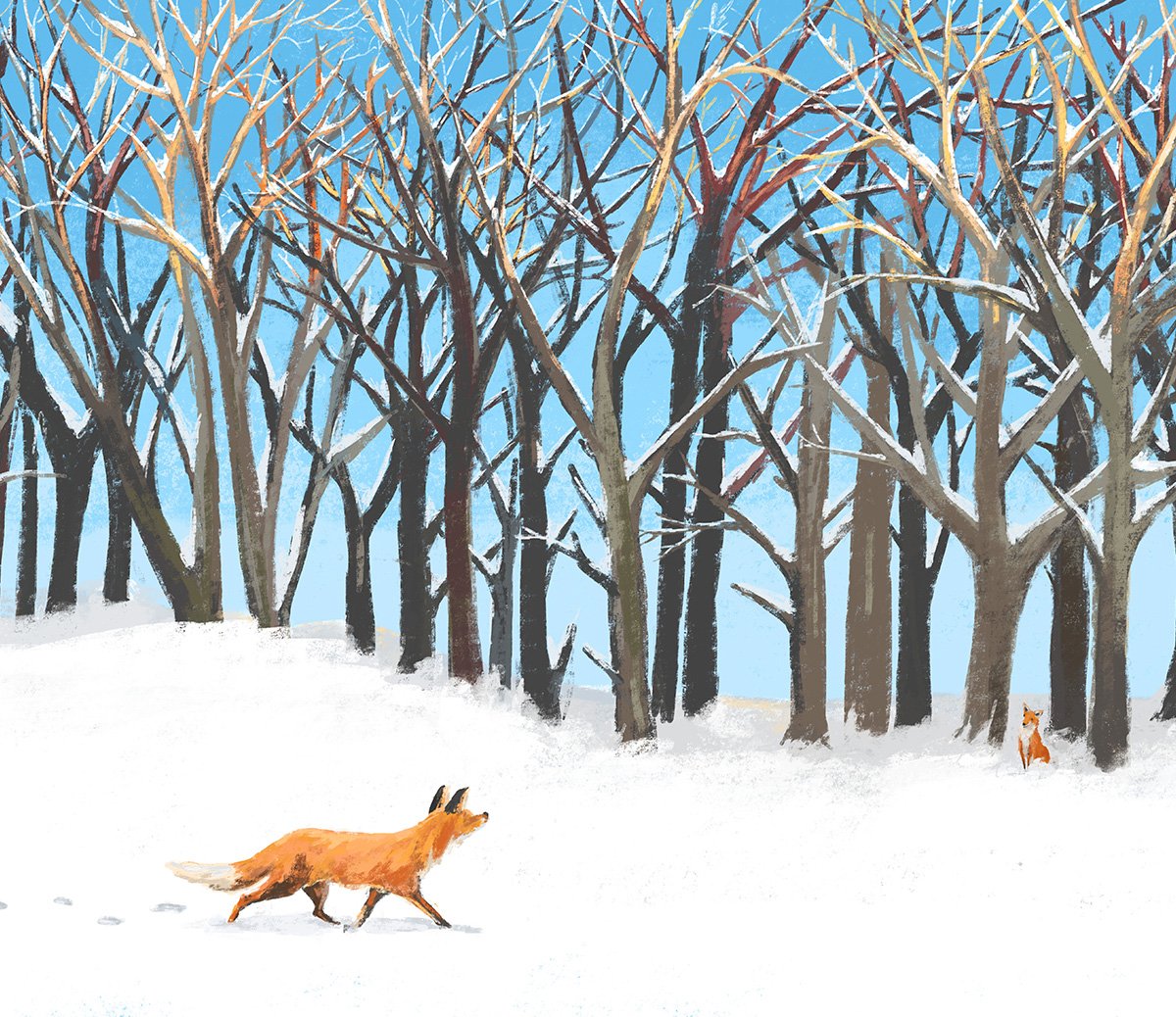 jenny-bloomfield-fox-in-the-snow-illustration.jpg