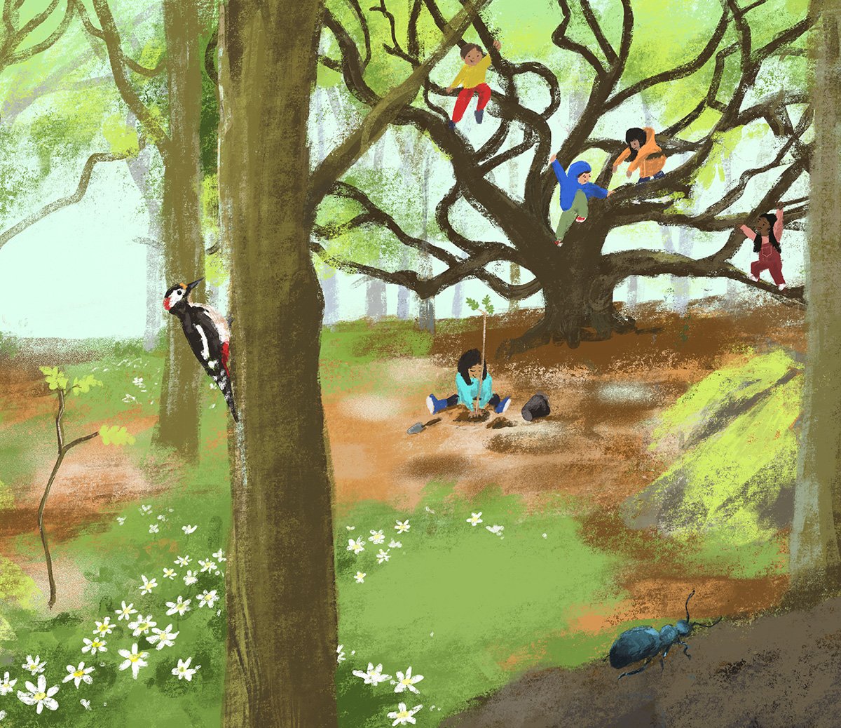 jenny-bloomfield-kids-in-a-tree-illustration.jpg