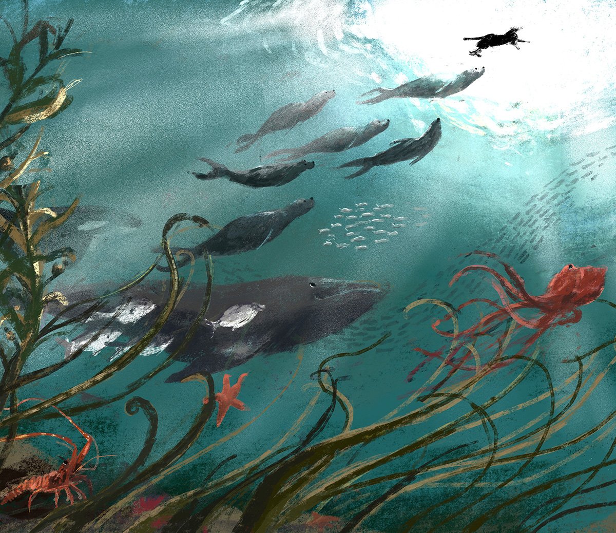 jenny-bloomfield-sea-dog-spread-illustration.jpg