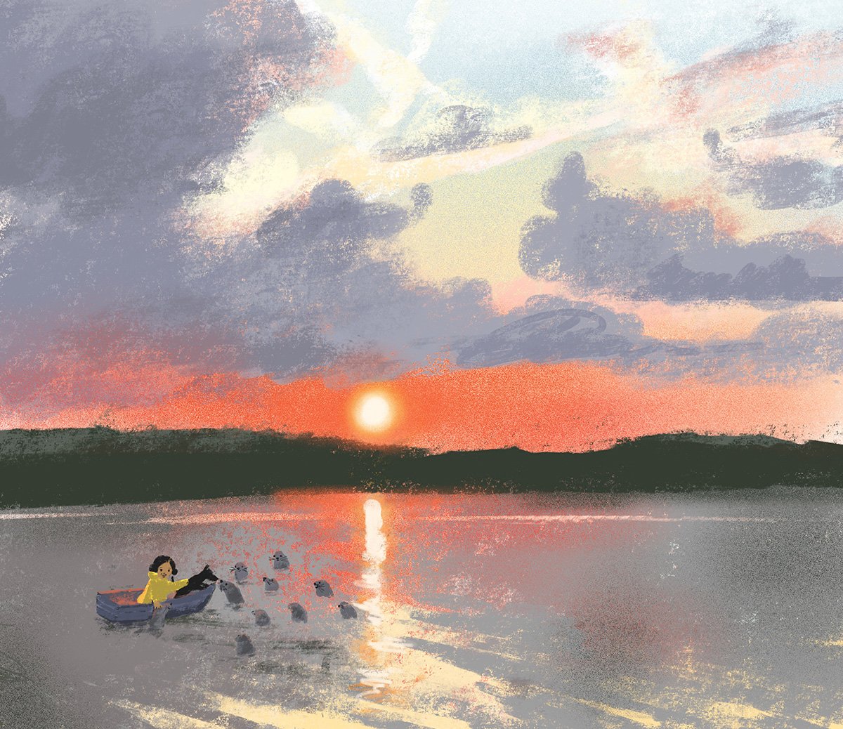 jenny-bloomfield-sunset-seals-illustration.jpg