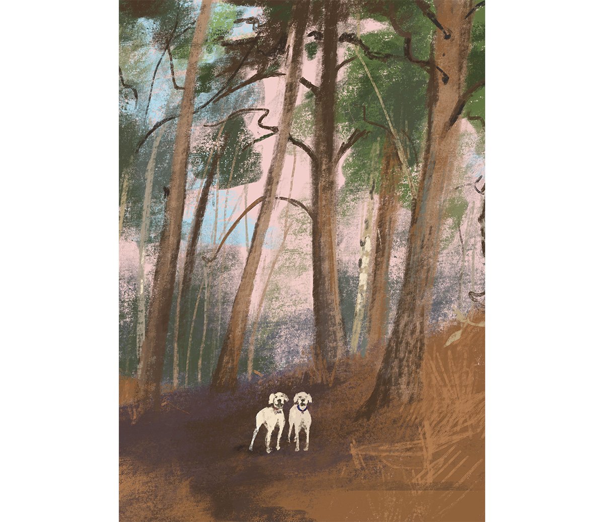 jenny-bloomfield-two-dogs-in-the-woods-illustration.jpg