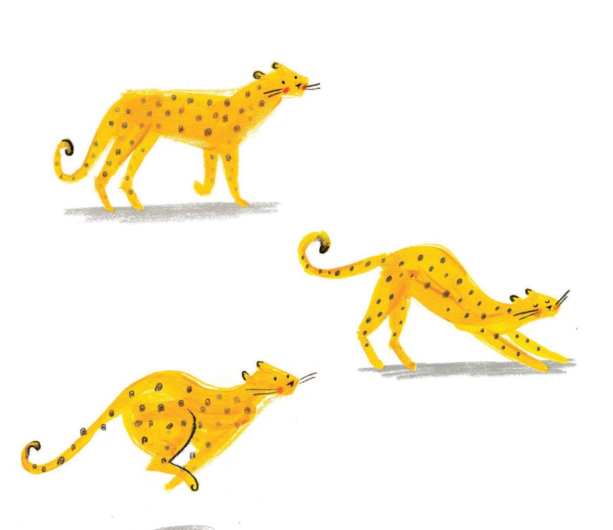 alice-courtley-leopard-poses-illustration.jpg