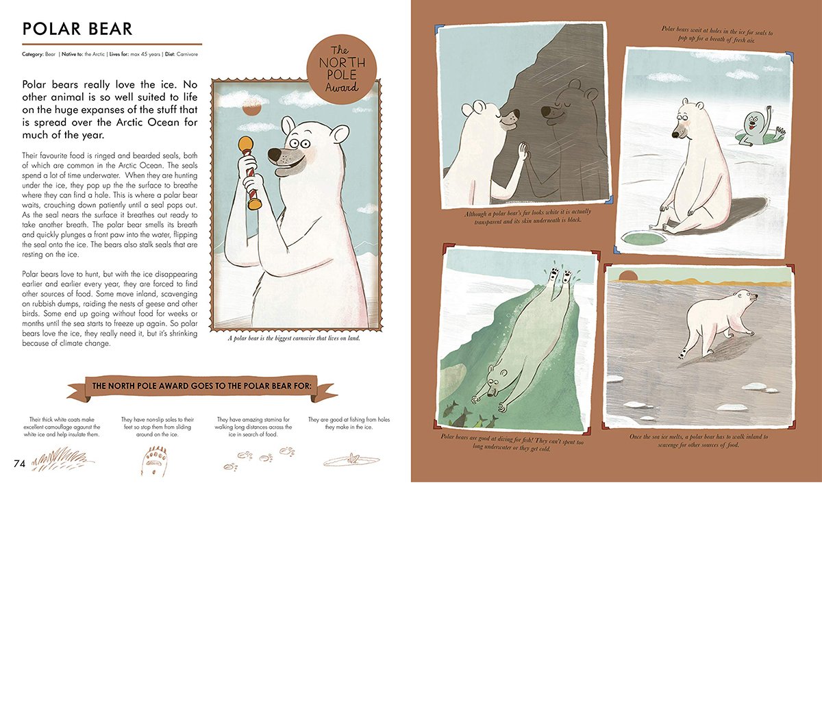 tor-freeman-polar-bear-facts-illustration.jpg