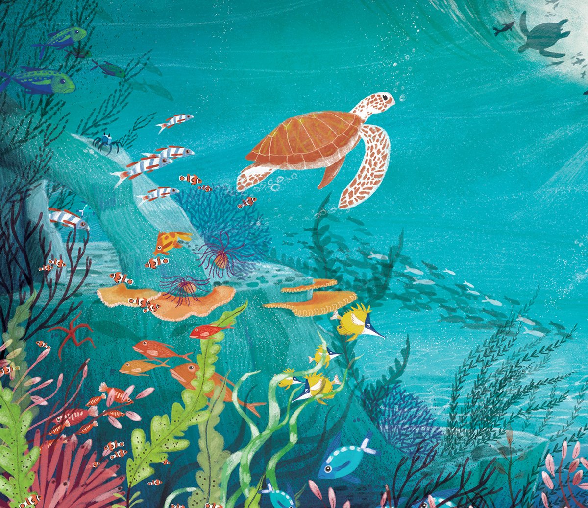 kim-geyer-under-the-sea-illustration.jpg