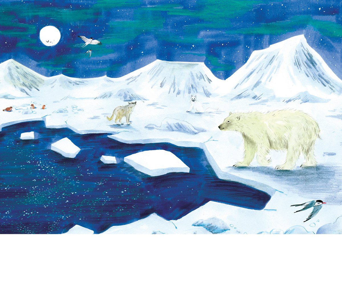 harriet-hobday-polar-scene-illustration.jpg