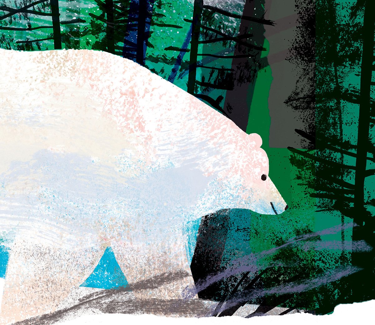 tim-hopgood-polar-bear-illustration.jpg