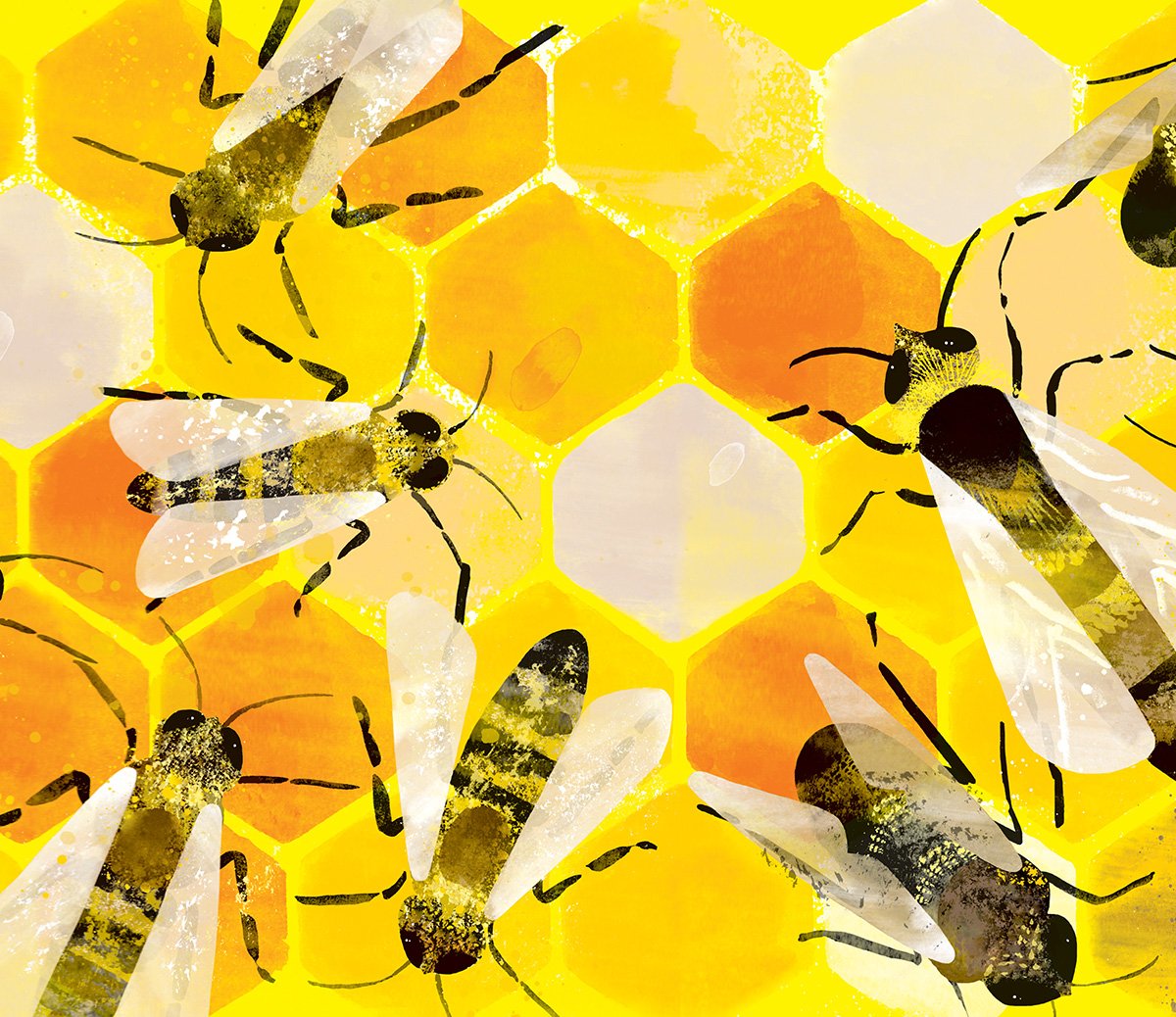 tim-hopgood-summer-bee-hive-illustration.jpg
