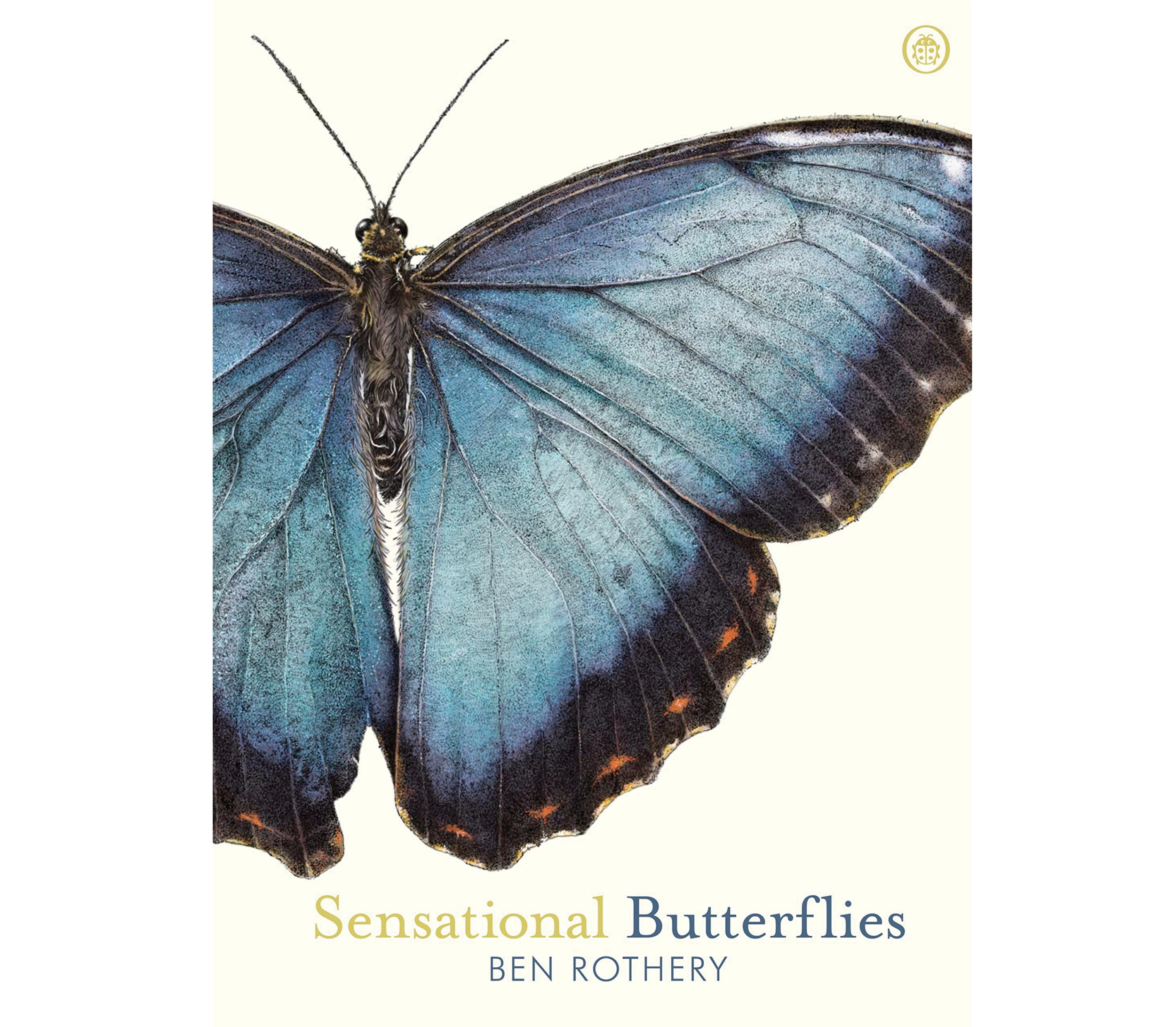 ben-rothery-sensational-butterflies-cover-illustration.jpg