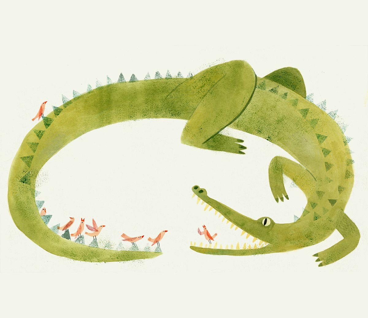 Marina Ruiz - Crocodile-illustration.jpg