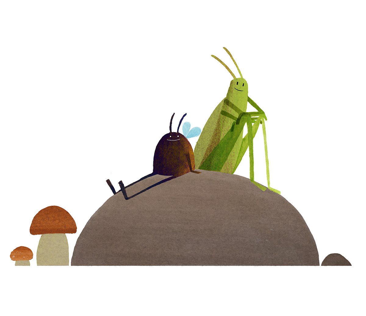 steve-small-bugs-illustration.jpg