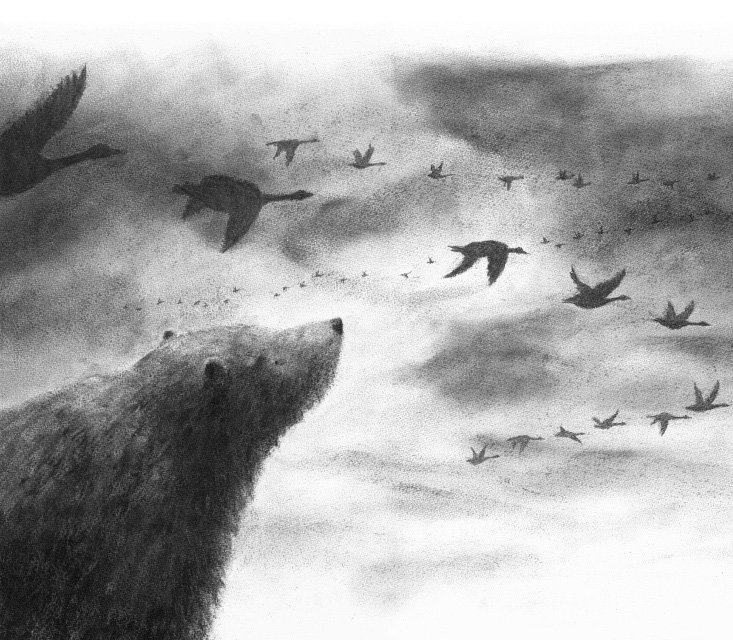 jo-weaver-bear-flying-geese-illustration.jpg