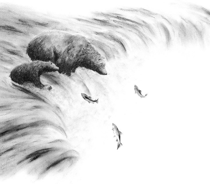 jo-weaver-bears-fishing-illustration.jpg