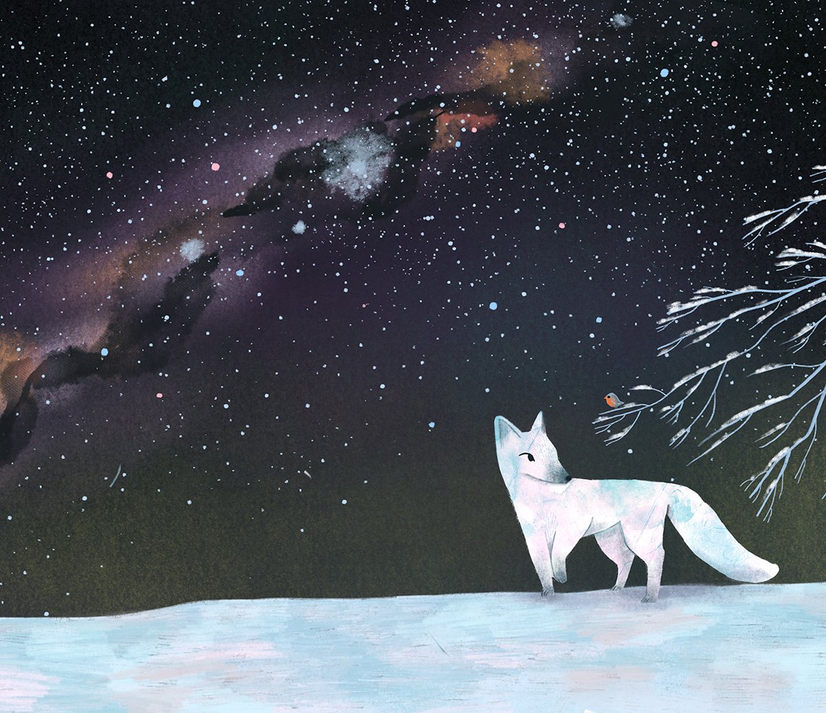 kitty-harris-snow-fox.jpg