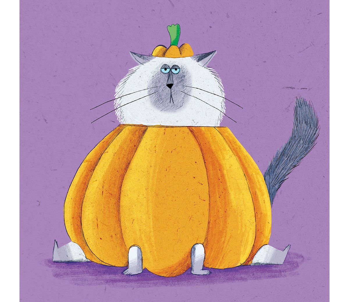 pippa-curnick-pumpkin-cat.jpg