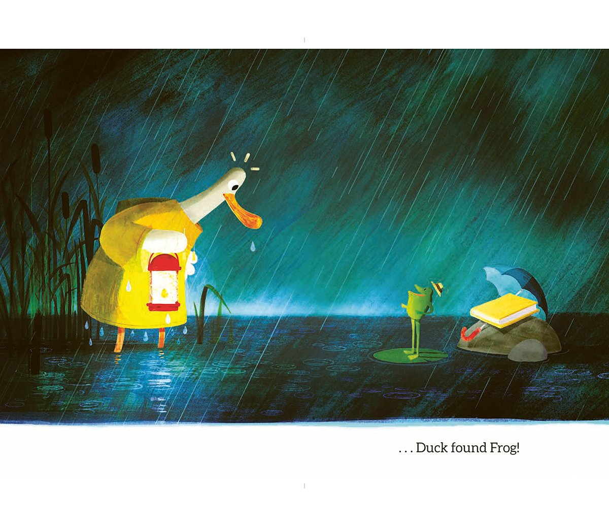 steve-small-duck-and-frog-in-rain.jpg