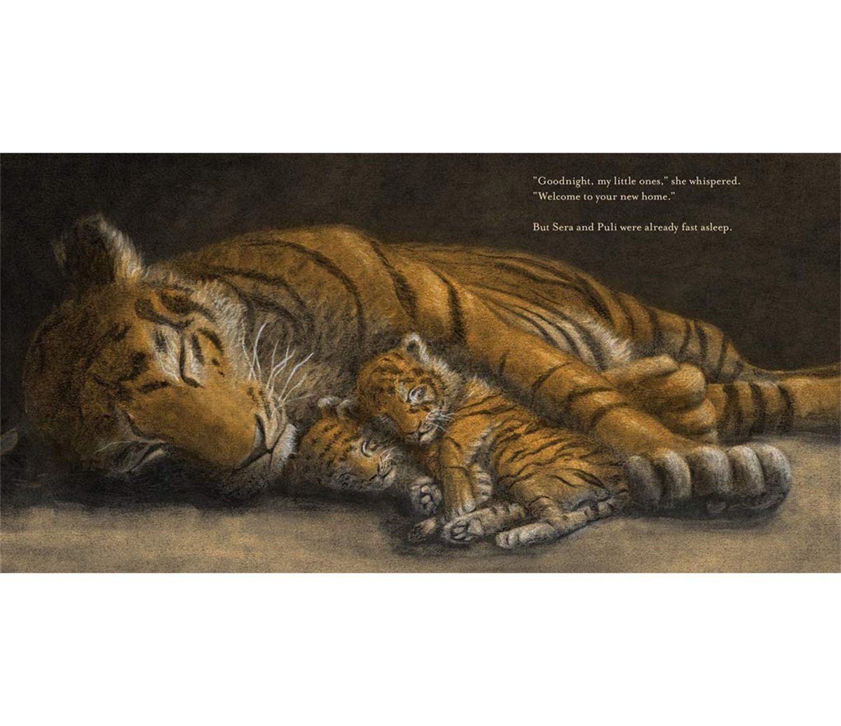 jo-weaver-tigers-sleeping.jpg