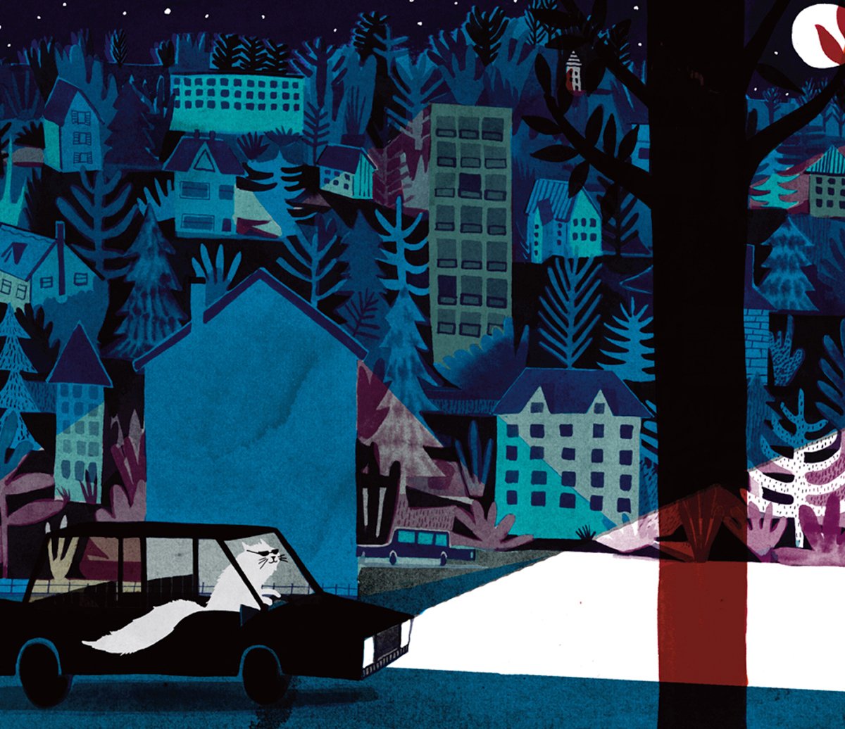 lydia-corry-cat-driving-car-at-night-illustration.jpg